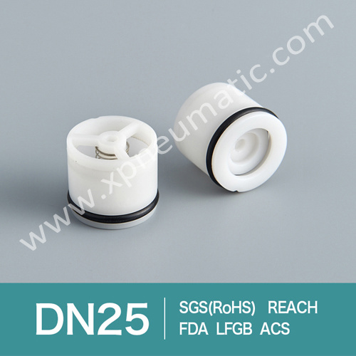 Back Flow Safety Valve Dn13